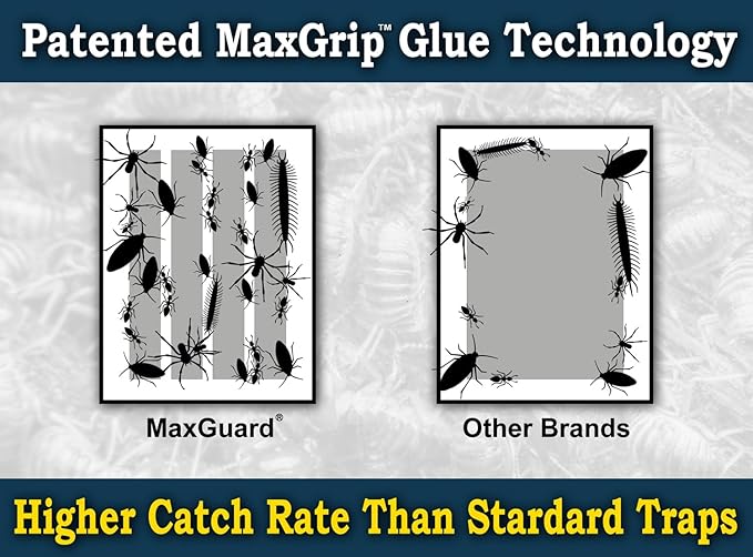 MaxGuard MaxGrip Glue Traps (24 Traps) Non-Toxic Extra Sticky Glue Board Pre-Baited with Fruity Scent Attractant Trap & Kill Insects, Bugs, Spiders, Crickets, Scorpions, Cockroaches, Centipedes, Mice