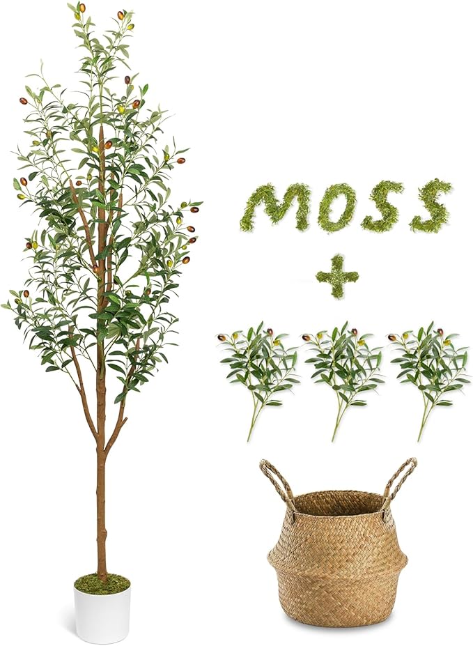 6FT Artificial Olive Tree - Indoor Tall Faux Olive Trees with Seagrass Basket&3PCS 18Inch Olive Branches, Large Fake Olive Silk Tree Realistic Olive Plants for Home Decor Office Living