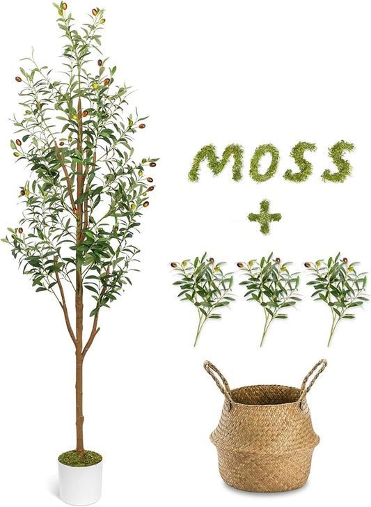 6FT Artificial Olive Tree - Indoor Tall Faux Olive Trees with Seagrass Basket&3PCS 18Inch Olive Branches, Large Fake Olive Silk Tree Realistic Olive Plants for Home Decor Office Living