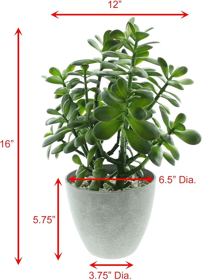 Westcharm 16 in. Potted Faux Jade Plant Home Décor | Artificial Crassula Ovata Succulent Money Tree in Melamine Pot | Fake Greenery for Office, Home, Kitchen, Bathroom, Bookshelf