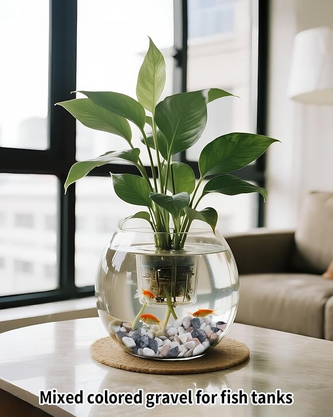 12LB Succulent & Cactus Gravel Pebbles,1/4-3/8 Inch Natural Polished River Rocks Decorative Stones for Succulent Planters,Cactus Pots,Vases,Aquariums,Outdoor Gardening Mixed Colors