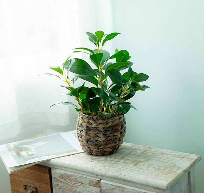 Artificial Vibrant Plants 14.2 inches Tall Fake Outdoor Greenery Plants with Ficus Leaves in Brown Rattan Planter for Indoor Home Office Garden Modern Decoration Ideal Housewarming Gift