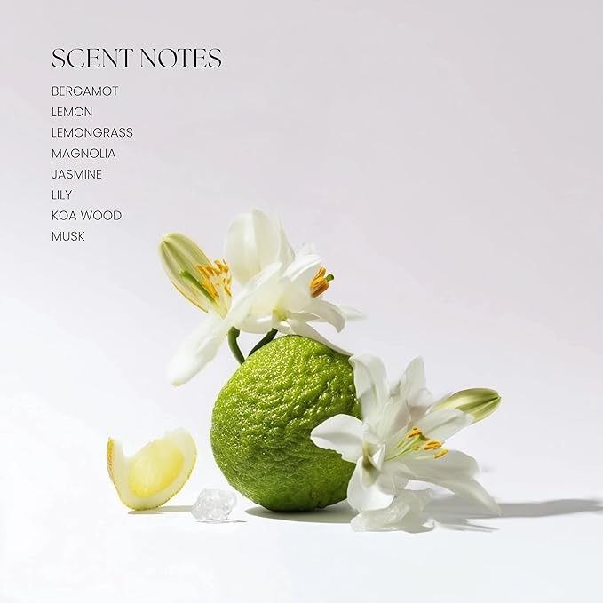 Levona Scent Essential Oil - Fresh Aroma for Home, Office, Hotel & Spa, Ideal for Humidifiers & Diffusers, Hotel Fragrance with Bergamot, Lemon & Lemongrass - 500ml / 17 fl oz, 24K Allure