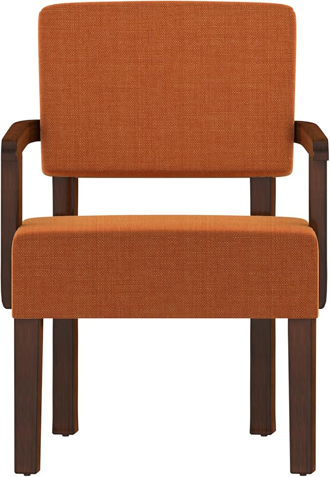 Accent Chair, Living Room Chairs Oversized with Soft Seat and Armrests for Dinning, Bedroom, Reading and Waiting Rooms