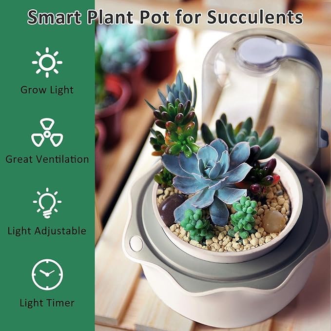 Smart Venus Fly Trap Terrarium Pot with Timer&Fan, Carnivorous Plant Pot with Grow Light, Plant Terrarium Kit for Butterwort, Christmas Birthday Gifts for Women Garden Lover (No Plant)