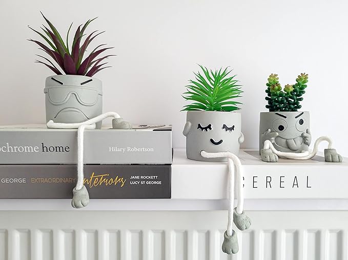 OLEEK Small Fake Plant Office Desk Decor - Desk Plants for Office Decorations for Work - Decorative Plants Decor - Funny Office Decor for Women - Fake Succulents Plants Artificial Home Decor Shelf