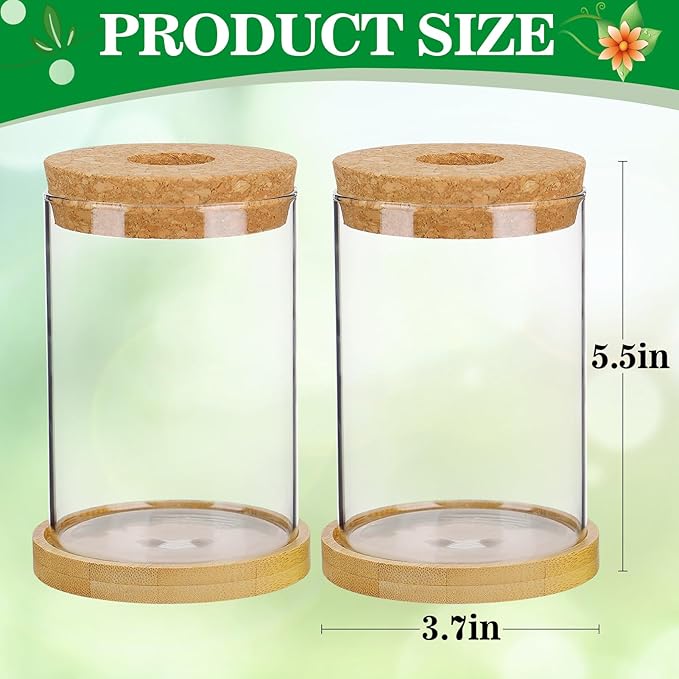Biggun Plants Propagation Station - 2Pcs Desktop Plant Terrarium Glass Hydroponic Vases, Water Plant Jars, Gardening Gifts for Women Mom Plant Lovers (Thick Straight Shape, Separated Tray Style)