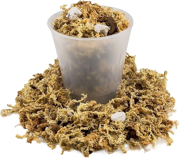 Premium Pothos Potting Soil Mix - Air Cleaning Plant Potting Mix, Soil Mix for Pothos, Parlor Palm, Peace Lily - (3 Quart Bag)