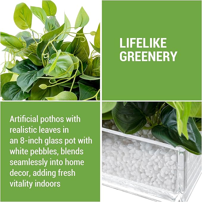 MyGift Artificial Pothos Plants Indoor, Fake Green Leaves Potted in 8 Inch Clear Glass Planter Box with White Pebbles, Faux Greenery Vines Table Centerpiece Home Decor