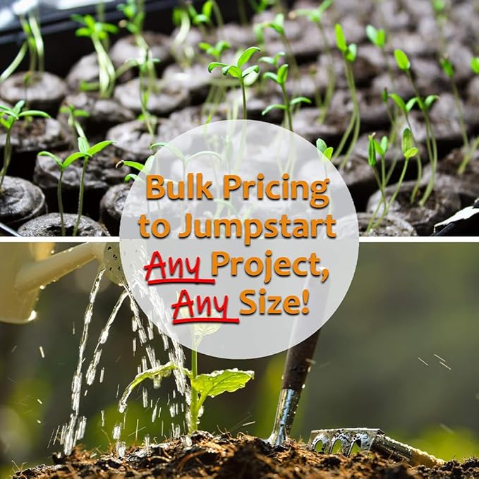 Blue Lake Bush Bean 274 Seeds - 5 Lbs - Non-GMO, Heirloom, Open Pollinated - Vegetable Garden Seeds - Green String Beans