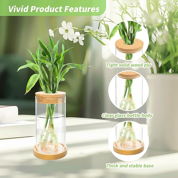 8 Pcs Plant Terrarium Desktop Glass Planter Plant Propagation Tabletop Propagation Vase Containers with Cork and Wooden Saucer for Growing Hydroponic Plants Garden Home Office Decor-