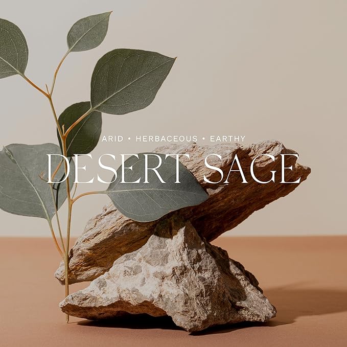 Antica Farmacista Home Ambiance Diffuser,Desert Sage,8.45 Fl Oz