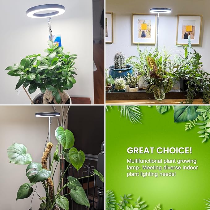 Grow Lights for Indoor Plants, 80 LEDs Full Spectrum Plant Grow Light with 2 Mounting Options, 6/12/16H Timer, 3 Spectrum Modes, 37 in Height Adjustable Desk Growing Lamp (Black/2-Pack)