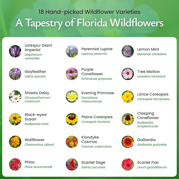 Created By Nature Florida Wildflower Seed Mix, 18 Flower Varieties, 35,000 Seeds