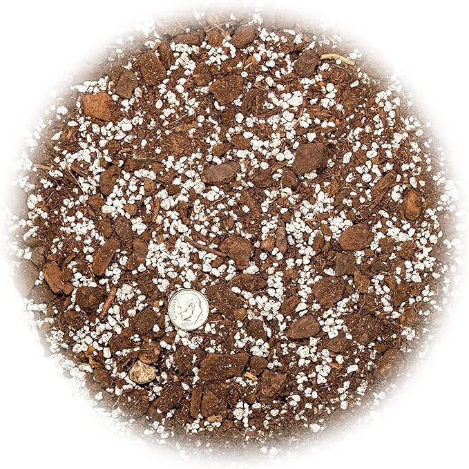 Palm Tree Potting Mix - The Ultimate Soil for Strong and Healthy Palms - Top Choice for Palm Tree Growers [3 Quart Bag]