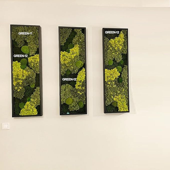 Preserved Reindeer Moss Natural Green DIY Kit Gardenning Art Wall Decor Florist Decor Easter Table Decor Wedding