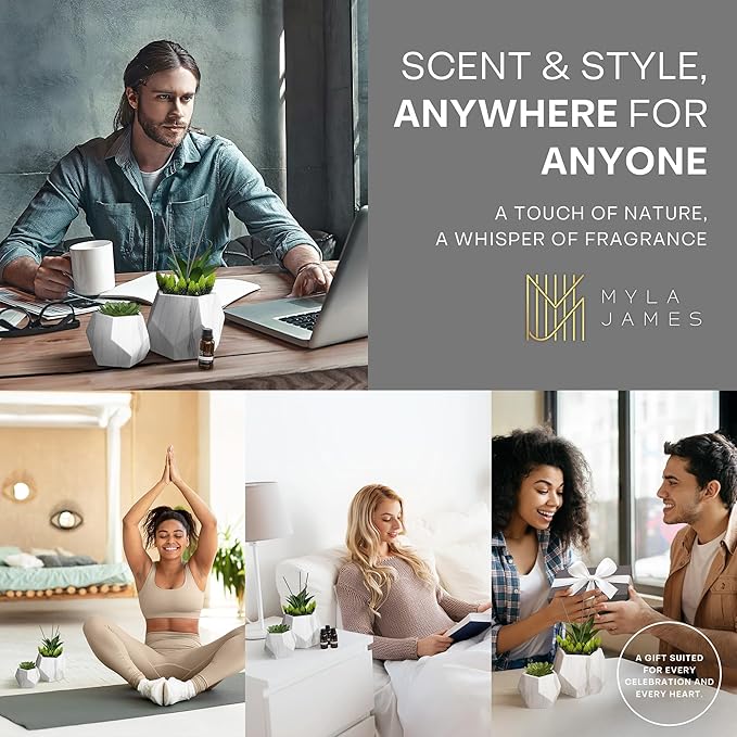 2in1 Reed Diffusers for Home & Faux Succulents Plants Artificial Set-Ceramic Potted Succulents x2 Pcs, Home Fragrance w/Lavender, Lemongrass, Eucalyptus Essential Oilx3 bottles 30ml with 9 Reed Sticks