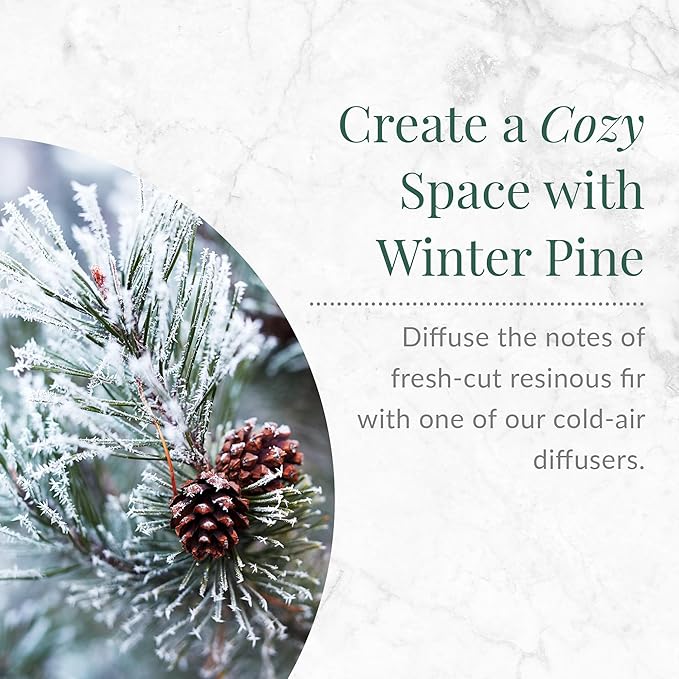 Winter Pine Aroma Oil, Christmas Essential Oil Blend for Diffusers & Scent Machines, Fresh Cut Pine & Fir Tree Fragrance, Cold-Air Diffuser Compatible, 100mL