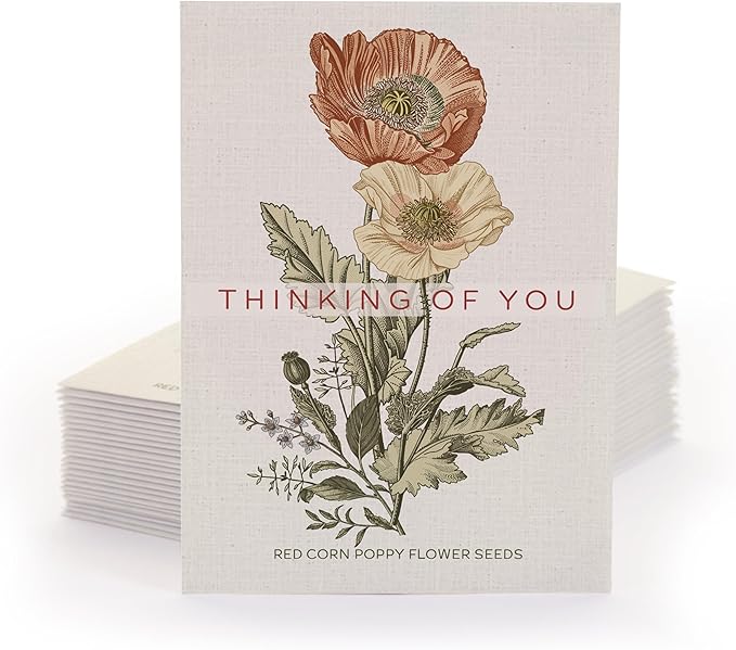 Bentley Classic Vintage Art Poppy Packets, Thinking of You Flanders Corn Seeds, Thoughtful Illustrated Flower Design, Eco-Friendly Hand Out, Sentimental Gift, 25 Pack