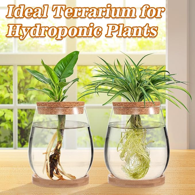 Biggun Plants Propagation Station - 2Pcs Desktop Plant Terrarium Glass Hydroponic Vases, Water Plant Jars, Gardening Gifts for Women Mom Plant Lovers (Water Drop Shape, Separated Tray Style)