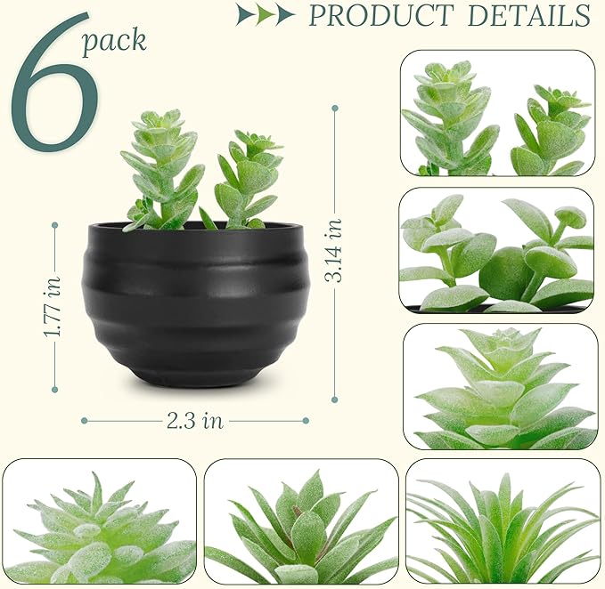 Der Rose Set of 6 Succulents Plants Artificial in Pots Small Fake Plants for Halloween Decorations Bedroom Living Room Office Shelf Black Bathroom Decor
