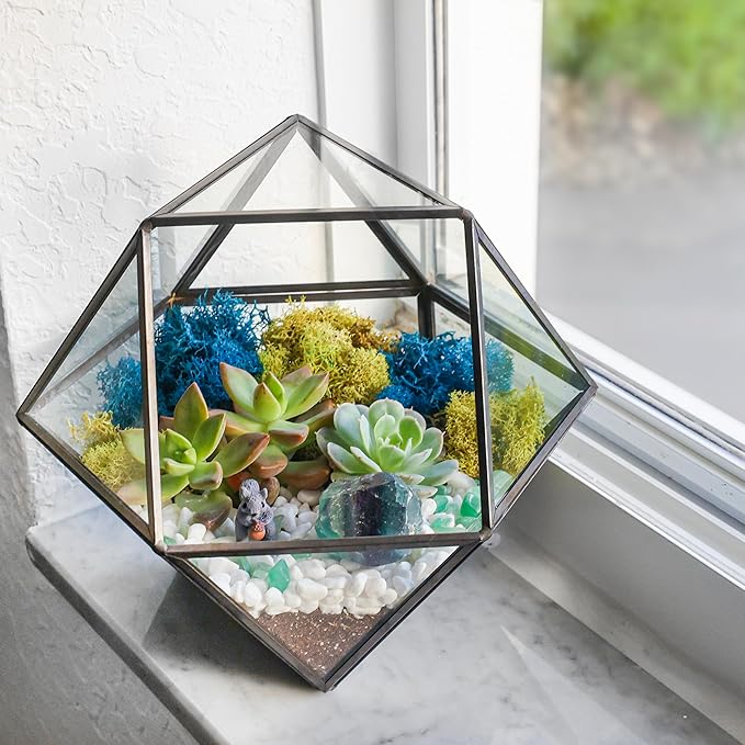 DIY 7" Geometric Terrarium Kit with Live Plants - Build Your Own Glass Terrarium for Adults & Kids with Moss, Crystals, Tools & Decor - Mini Ecosystem - Handcrafted in The USA