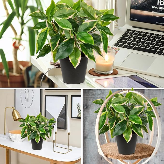 Artificial Plants Indoor Small Fake Plants in Pots Faux Pothos N‘ Joy Potted Plant Fake Indoor Plants with Black Pots for Bathroom Living Room Office Desk Shelves