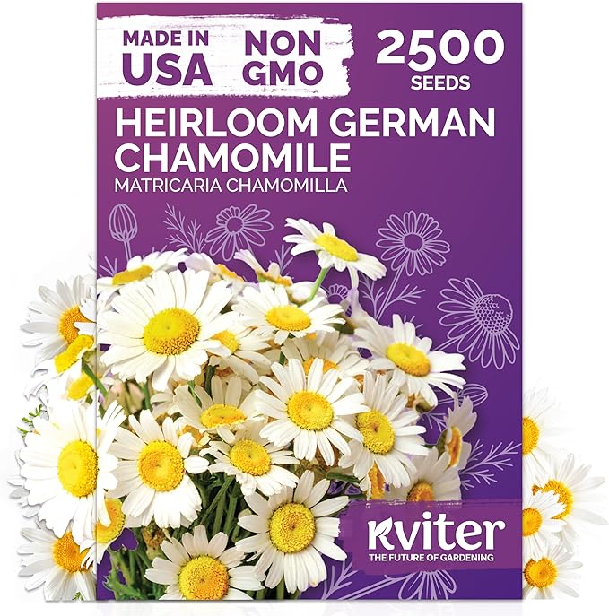 KVITER 2,500 German Chamomile Seeds for Planting (Matricaria Chamomilla/Recutita) – Heirloom & Non-Gmo Medicinal Herb Seeds, Flowers for Remedies & Chamomile Tea Organic – Indoors/Outdoors Herb Garden