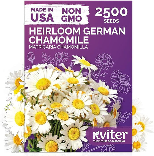 KVITER 2,500 German Chamomile Seeds for Planting (Matricaria Chamomilla/Recutita) – Heirloom & Non-Gmo Medicinal Herb Seeds, Flowers for Remedies & Chamomile Tea Organic – Indoors/Outdoors Herb Garden
