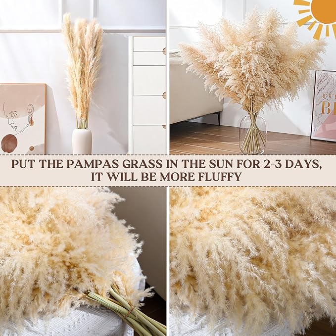 15pcs 40''Dried Pampas Grass Decor Tall-Large pompas Grass-Natural Beige Tall Pampas Grass for Floor Vase,Wedding,Party,Farmhouse,Living Room Floor,Boho Home Decor