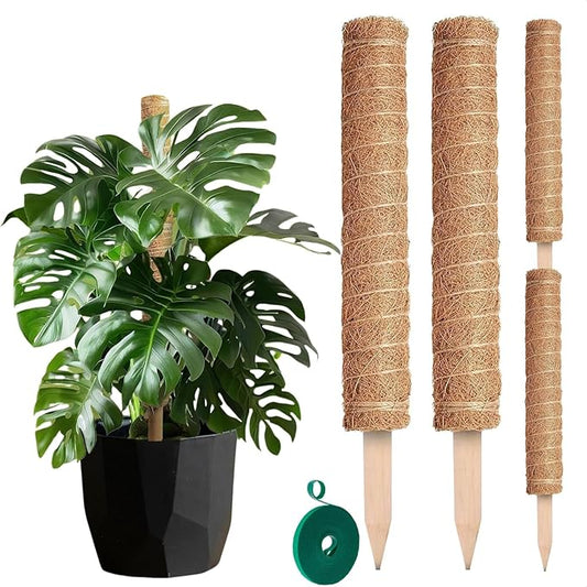 2 Pack Moss Pole Monstera Plant Support 12” Each Moss Plant Pole Moss Poles for Climbing Plants Monstera Support Pole Plant for Indoor Plants Moss Sticks for Indoor Plants Climbing Plant Poles