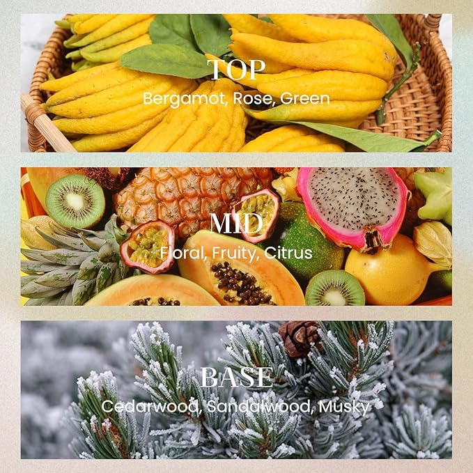 M&SENSE 6.4 oz Large Reed Diffuser Set | Rose Princess Scent Oil Diffuser with Sticks | Hotel Collection Non-Toxic Essential Oil |for Bedroom Bathroom Living Room