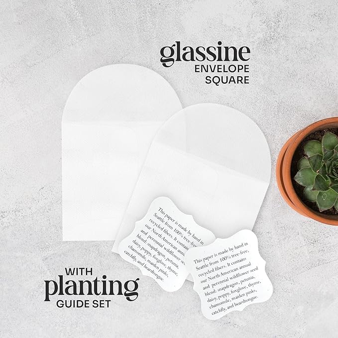 Set of 24 Purple Butterfly – Plantable Seed Paper Embedded with Wildflower Seeds for Bridal Shower, Wedding Gift, Birthday, & Other Milestone Celebrations