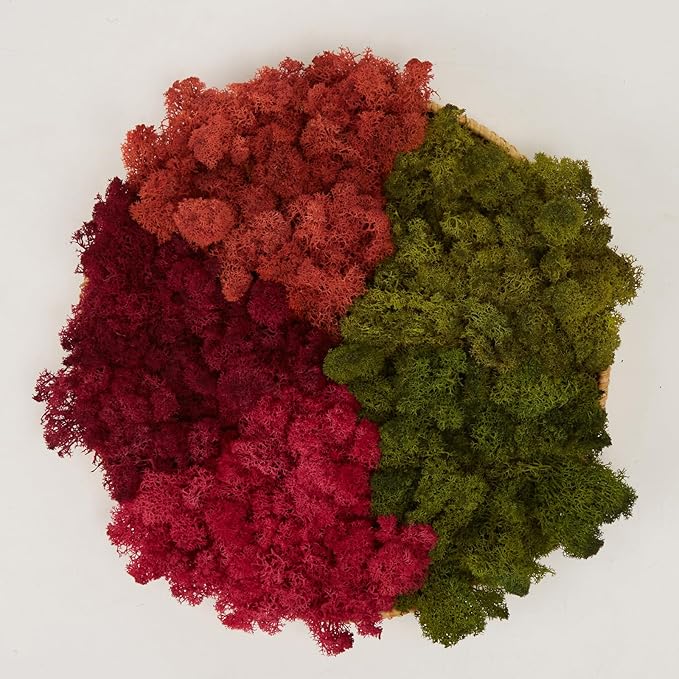 Preserved Reindeer Moss Natural Green DIY Kit Gardenning Art Wall Decor Florist Decor Easter Table Decor Wedding