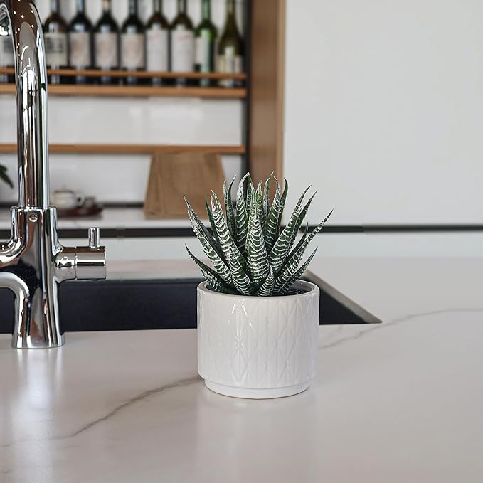 Artificial Succulent in Pot, 6.7'' Small Potted Fake Succulents Realistic Potted Plant for Home Office Desk Bathroom Boho Decoration Faux Mini Aloe Greenery for Shelf Aesthetic Decor Table Accessories