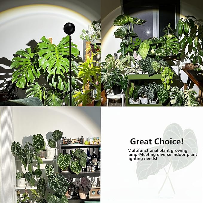 Standing Grow Light with Timer 4/8/12H, 20W Full Spectrum Vertical Grow Lights for Indoor Plant Growing, Wide Coverage, 5.24FT to 6.88FT Height Adjustable, Ideal for Large Tall Plants