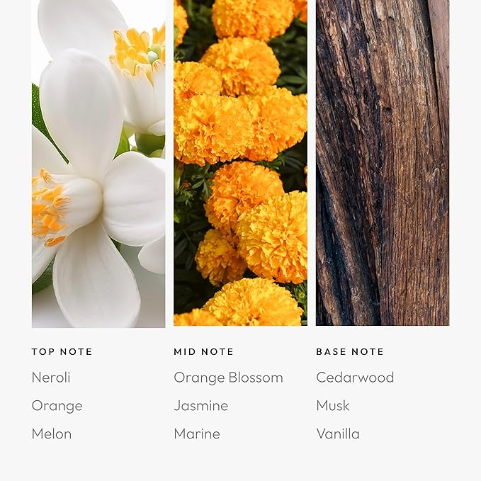 Aroma360 Skyfall 1.7 fl oz, 50mL