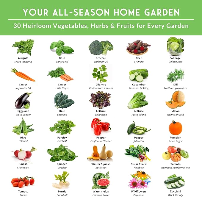 Home Garden Vegetable Seeds 30 Variety Pack – Heirloom Seed Vault Kit for Planting Non-GMO Vegetables, Herbs, Fruit – Emergency Preparedness Survival Food Grow Kit – Survival Garden Seeds (18,500+)
