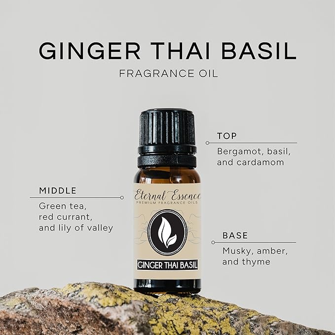 Ginger Thai Basil Premium Grade Fragrance Oil - Scented Oil - (10ml)