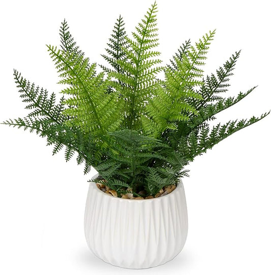 DILATATA Faux Plant Indoor in Ceramic Pot 13" Artificial Potted Fern Fake House Plants for Desk Office Bathroom Garden Decoration