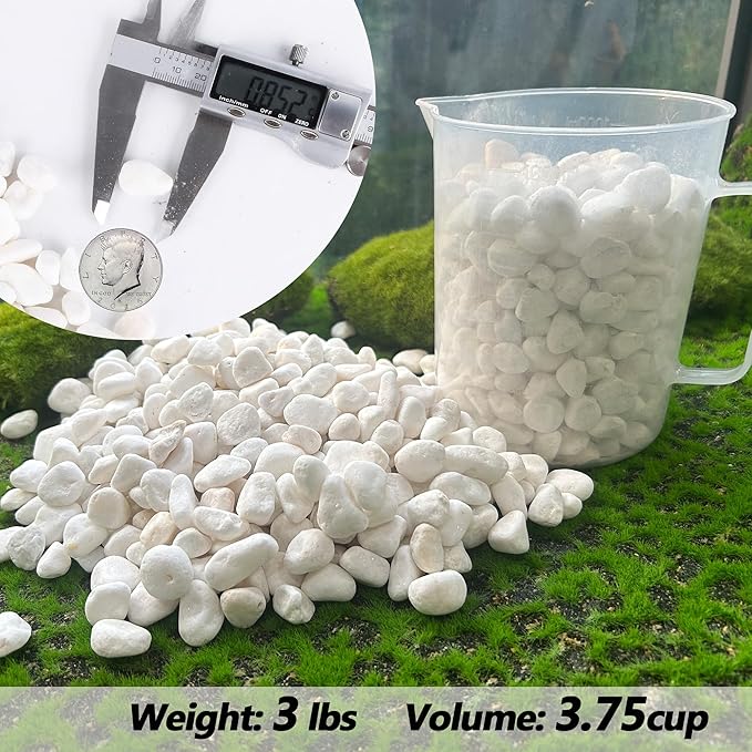 CJGQ White Pebbles for Plants Garden Vases 3 lb White Rocks Gravel Decorative Stone 1/2"