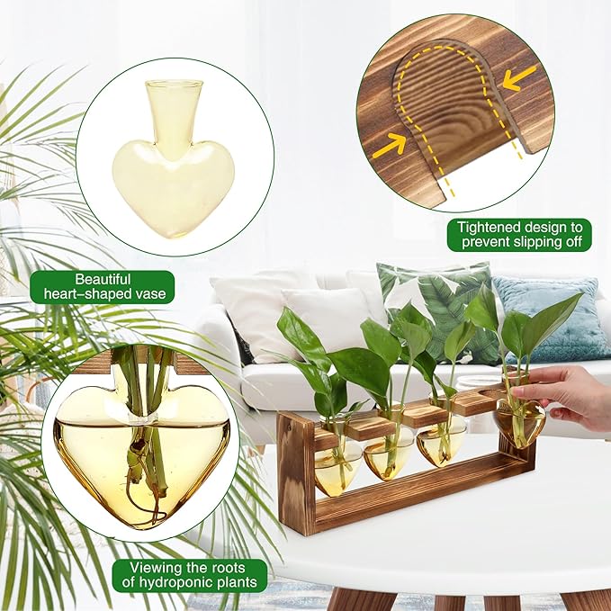 Plant Propagation Stations Heart Plant Terrarium Kit Gift for Women Plant Lover Glass Vases