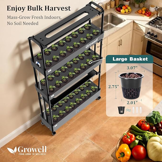 Large Basket Hydroponics Growing System Kit, 48 Pods Vertical Hydroponic Garden with 2 Grow Light Modes, Auto Circulating Water System, 40L Indoor Gardening System for Herb Vegetable Fruit