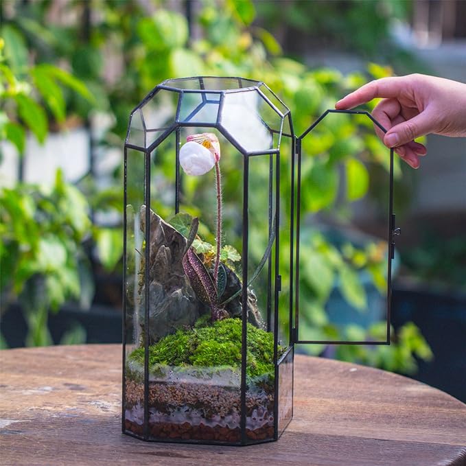 NCYP Glass Geometric Plant Terrarium with Door for Succulent Plants, Cacti - 5.5"x5.5"x12.8" - Indoor Vintage Tall Octagon Planter, Home Garden Office Tabletop Decoration (Terrarium Only)