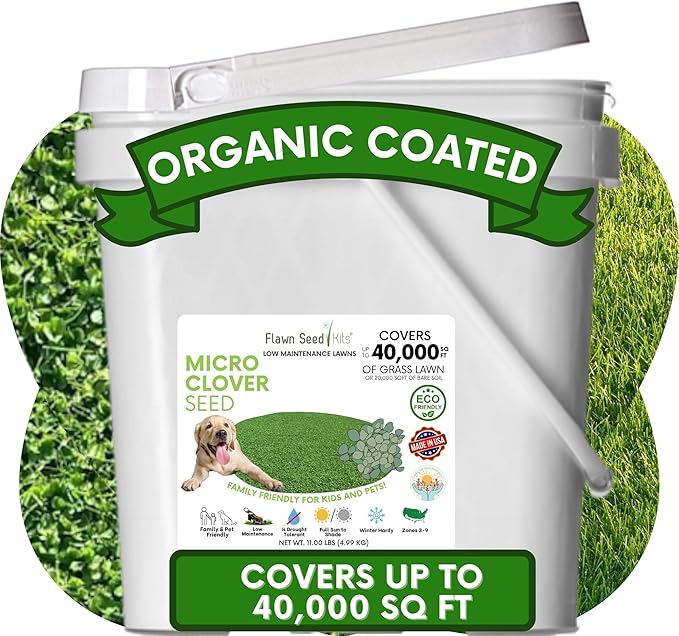 Flawn Seed Kits 11 Lbs Micro Clover Seed, Organic Coated, Eco-Friendly, Low Growing, Low Maintenance, Lawn Alternative, Pail with Handle, Covers up to 40,000 Sqft