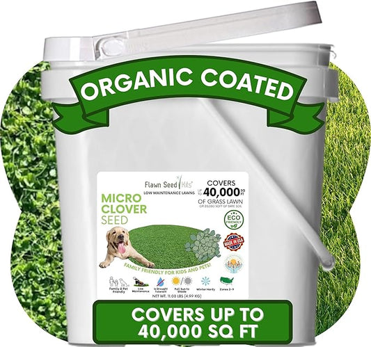 Flawn Seed Kits 11 Lbs Micro Clover Seed, Organic Coated, Eco-Friendly, Low Growing, Low Maintenance, Lawn Alternative, Pail with Handle, Covers up to 40,000 Sqft