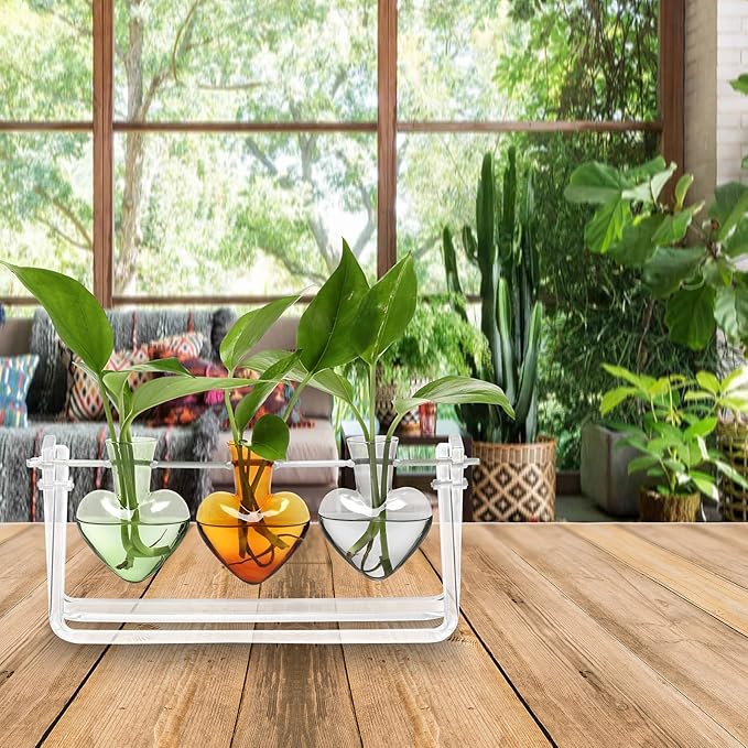 Clear Plant Terrarium Propagation Stations with Acrylic Stand Birthday Gifts for Women Office Home Decor