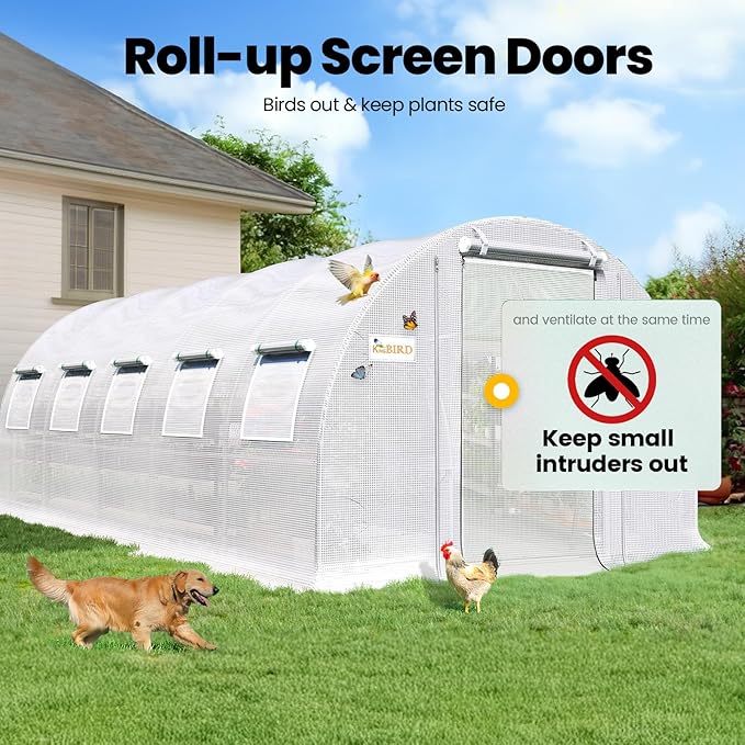 KING BIRD Premium 25x10x6.6FT Greenhouse for Outdoors, Large Walk-in Heavy Duty Galvanized Steel Frame, Mesh Door Screen Window Upgraded Zipper Tunnel Hoop for Garden Plant Winter, White