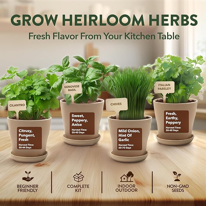 HOME GROWN Indoor Herb Garden Kit – Unique Christmas Gift for Adults, Men, & Women - Grow 4 Heirloom Herb Seeds for Kitchen Window Garden – Beginner DIY Craft & Hobby Gardening Gift for Plant Lovers