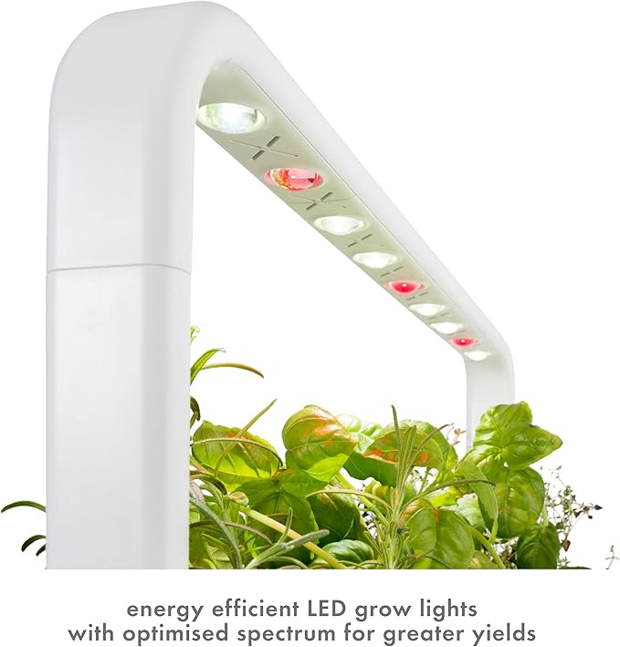 Click & Grow Indoor Herb Garden Kit with Grow Light | Easier Than Hydroponics Growing System | Smart Garden for Home Kitchen Windowsill | Vegetable & Herb Garden Starter Kit with 9 Plant pods, Gray